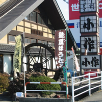 写真1