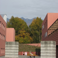 写真3