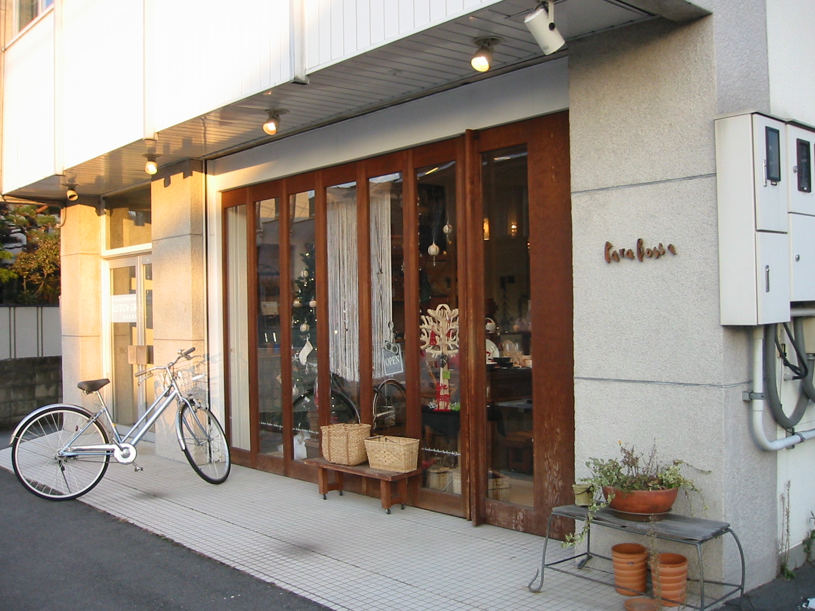 写真1